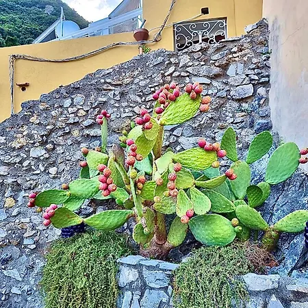 Marilu Vacation In * פוזיטנו